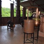 Distillerie d'huiles essentielles à Nosy Be