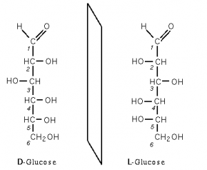D-glucose et L-glucose